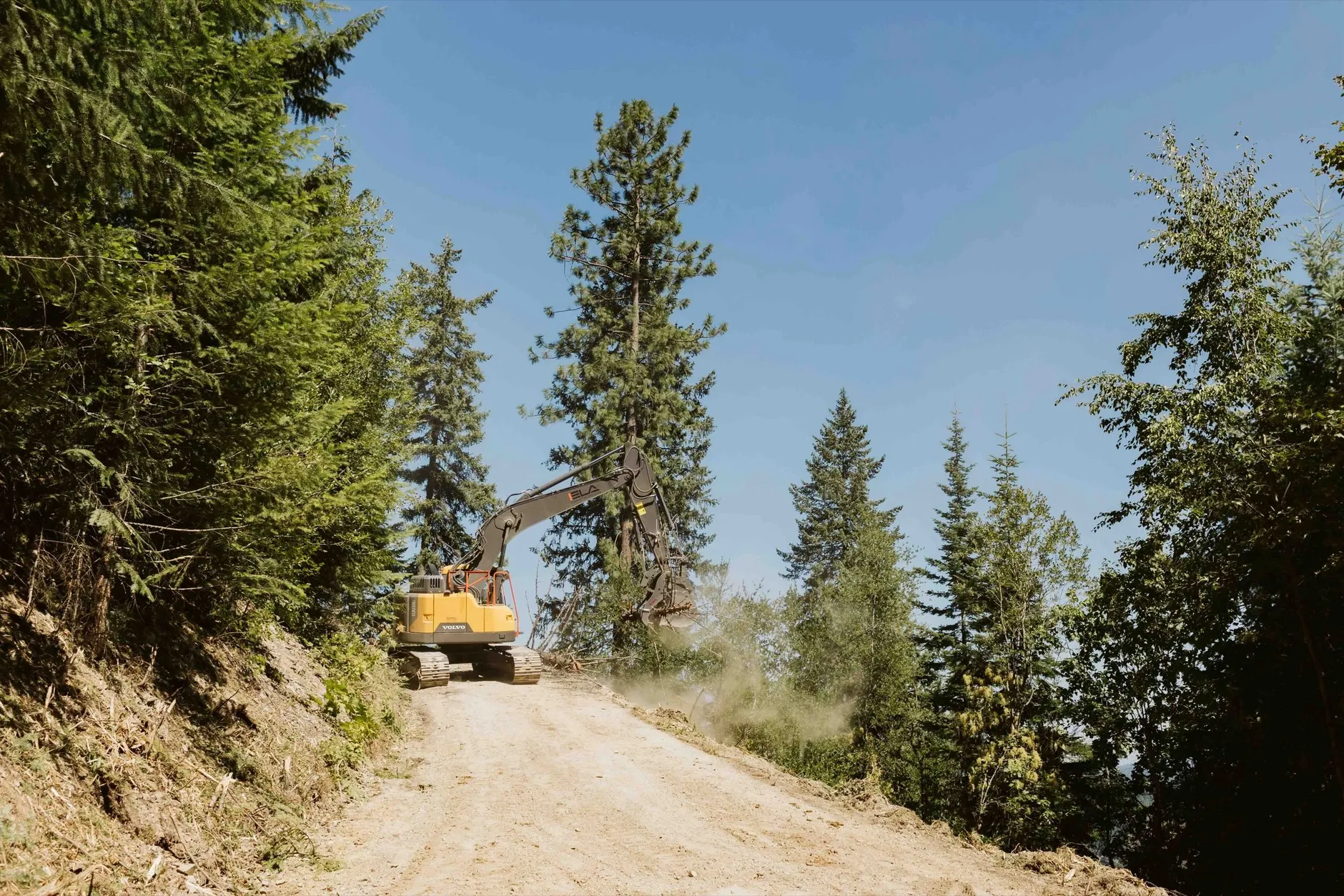 A yellow excavator working at the top of a steep new gravel driveway cut through tall evergreen trees.