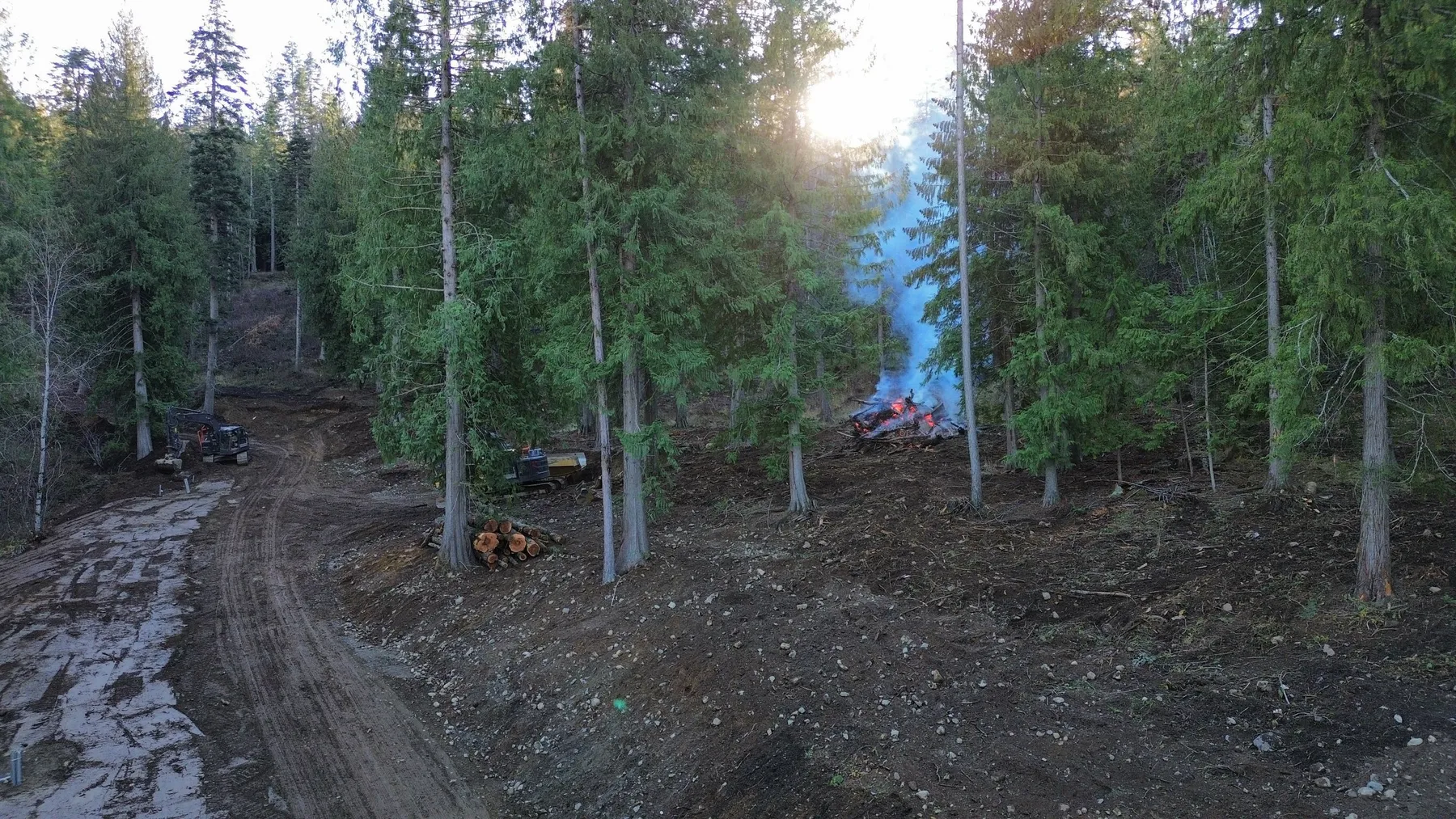 Freshly cut access road climbing through dense timber at Camp Bay, with slash piles burning and equipment parked along the edge.