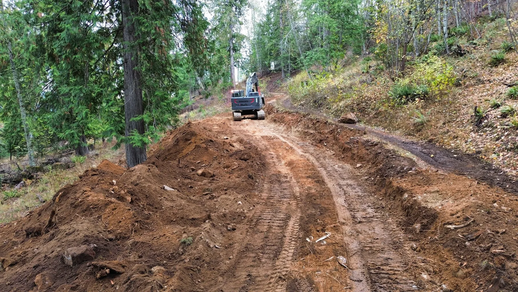 Excavator working at the top of a steep, newly cut dirt road through the trees toward the shoreline.