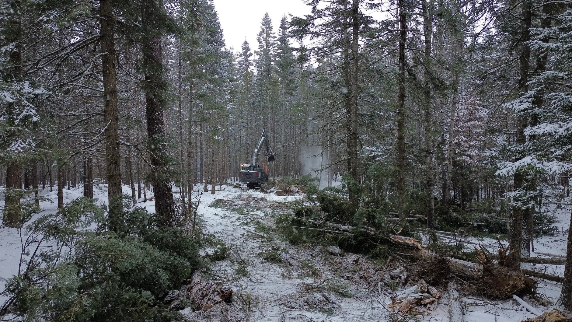 An excavator clearing timber in a snow-covered North Idaho forest, with felled trees and brush in the foreground.