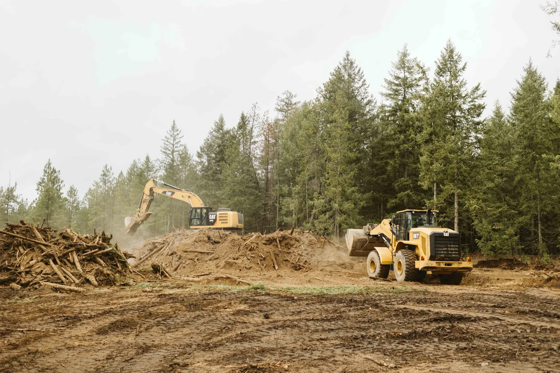 A CAT excavator and a CAT wheel loader clearing piles of timber debris and dirt from a forested lot at Clagstone Estates.
