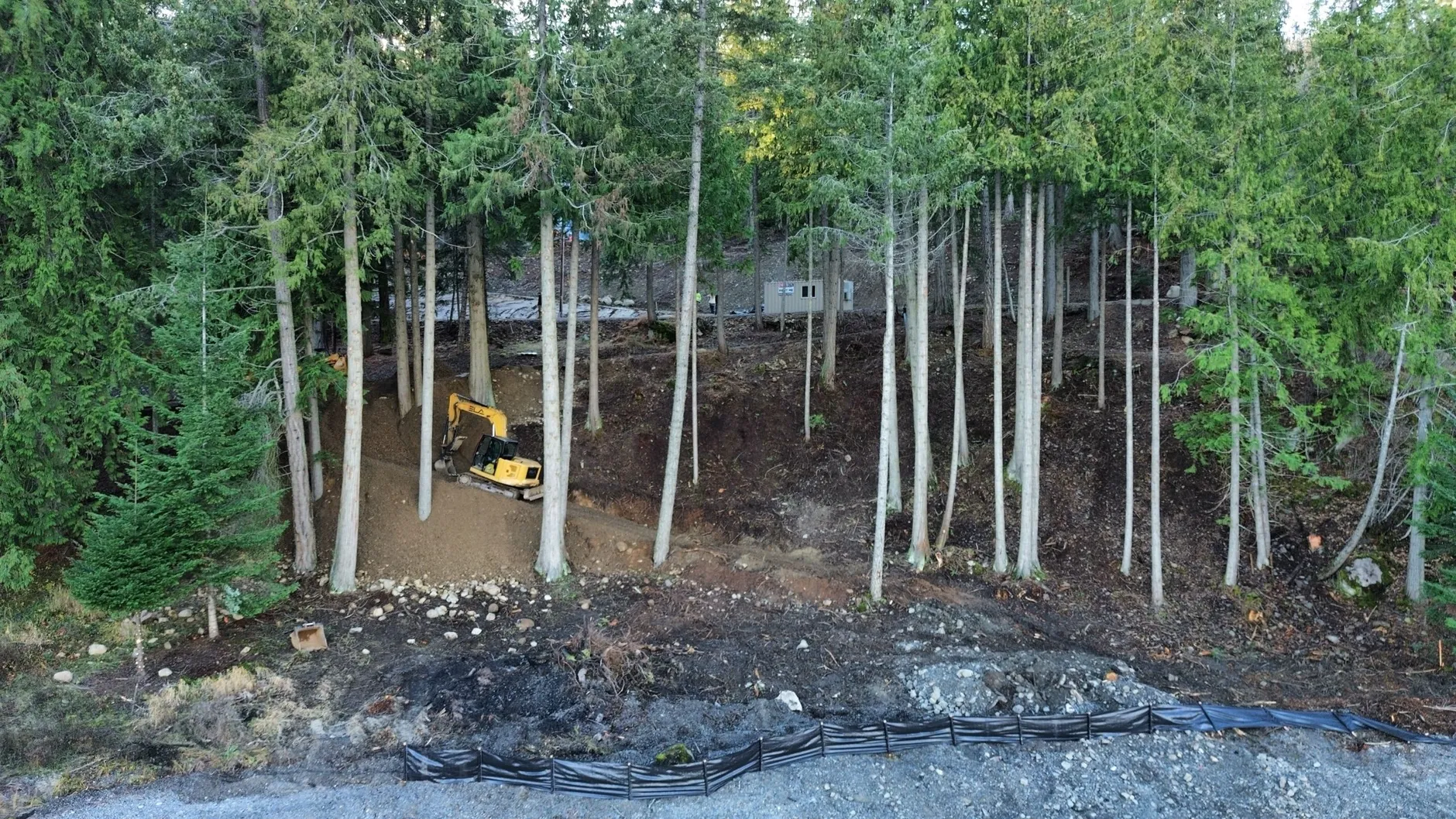 A yellow excavator cutting a new road up a forested hillside among tall cedar and birch trees, with silt fencing along the foot of the slope.