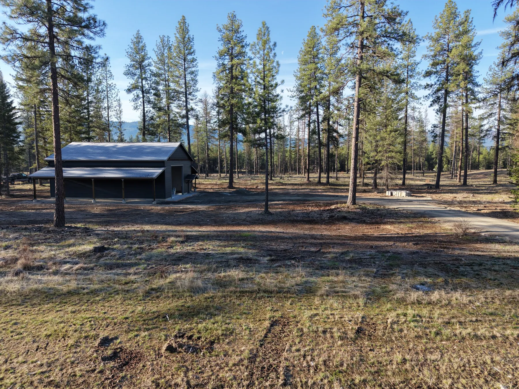 The existing 36x50 shop with lean-tos on the 102 Wallace Lane lot, among tall pines on open ground.