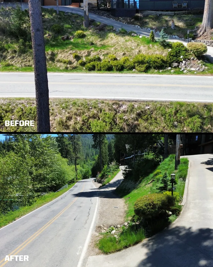 Before and after: a weedy roadside bank cleaned up into a stabilized, landscaped slope beside the road.